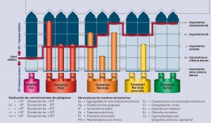 Enfermedad periodontal